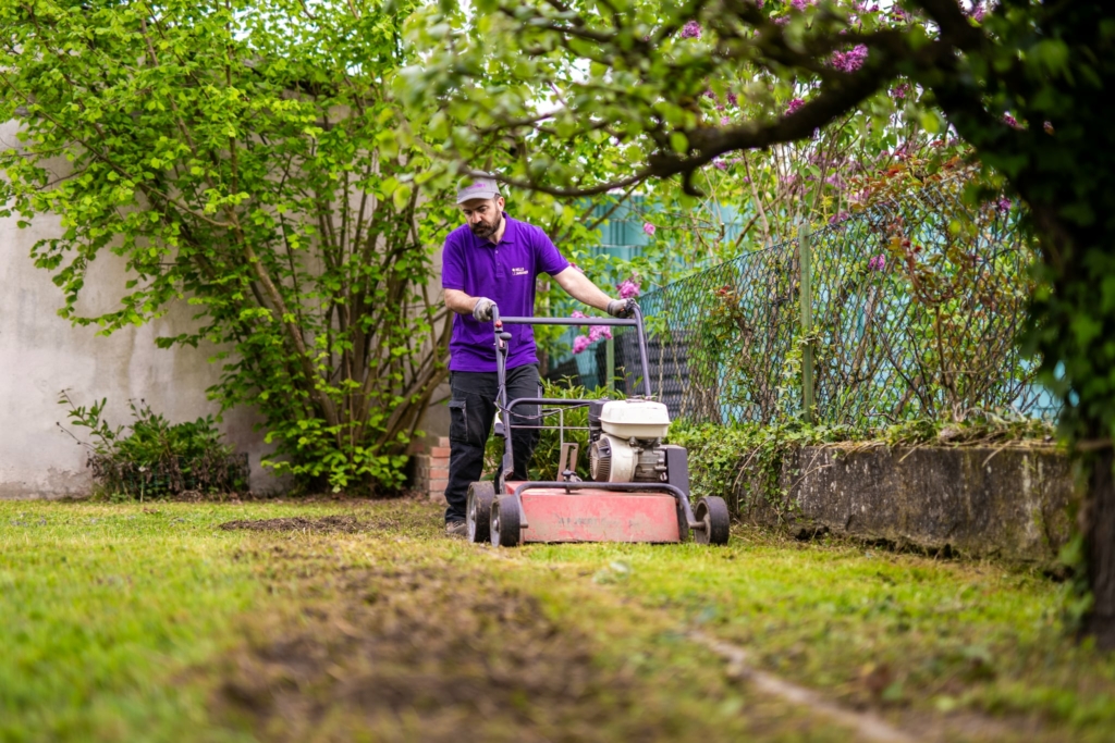 entretien de pelouse et scarification réalisé par un jardinier en Alsace