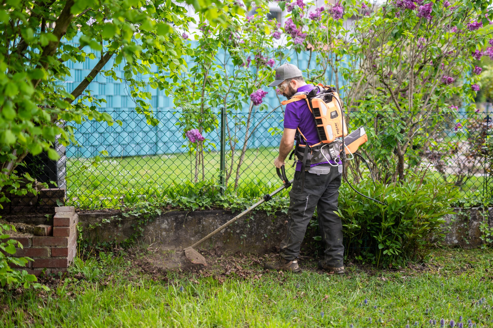 tonte de pelouse et débroussaillage des contours avant scarification en Alsace