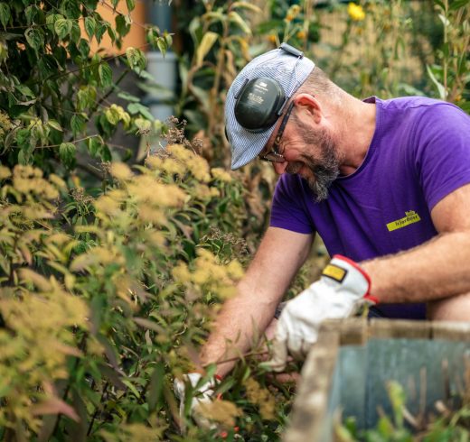 Hello le Jardinier Finales WEB-0007