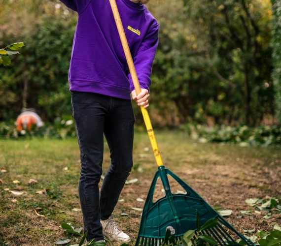 évacuation déchets verts