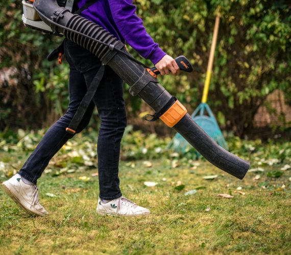 ramassage feuilles mortes