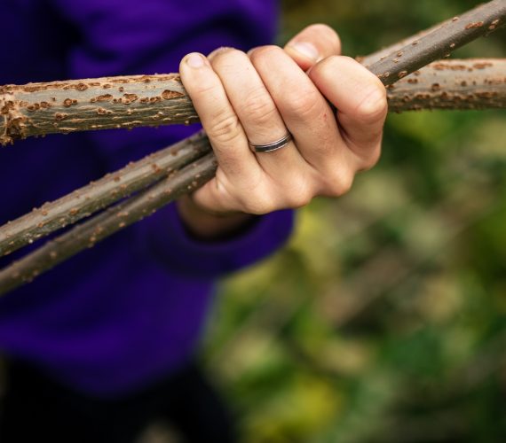 remise en état et défrichage