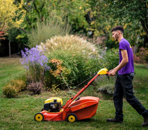 tonte et scarification pelouse